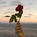 Zero-Yu-Jie的头像